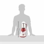 BOSS All Time Plus Mixer Grinder